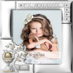 Cornice Sovrani Argenti W527