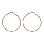Orecchini Donna Alisia Collezione Hoop AL1697