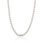Collana Donna Miluna PCL4979B